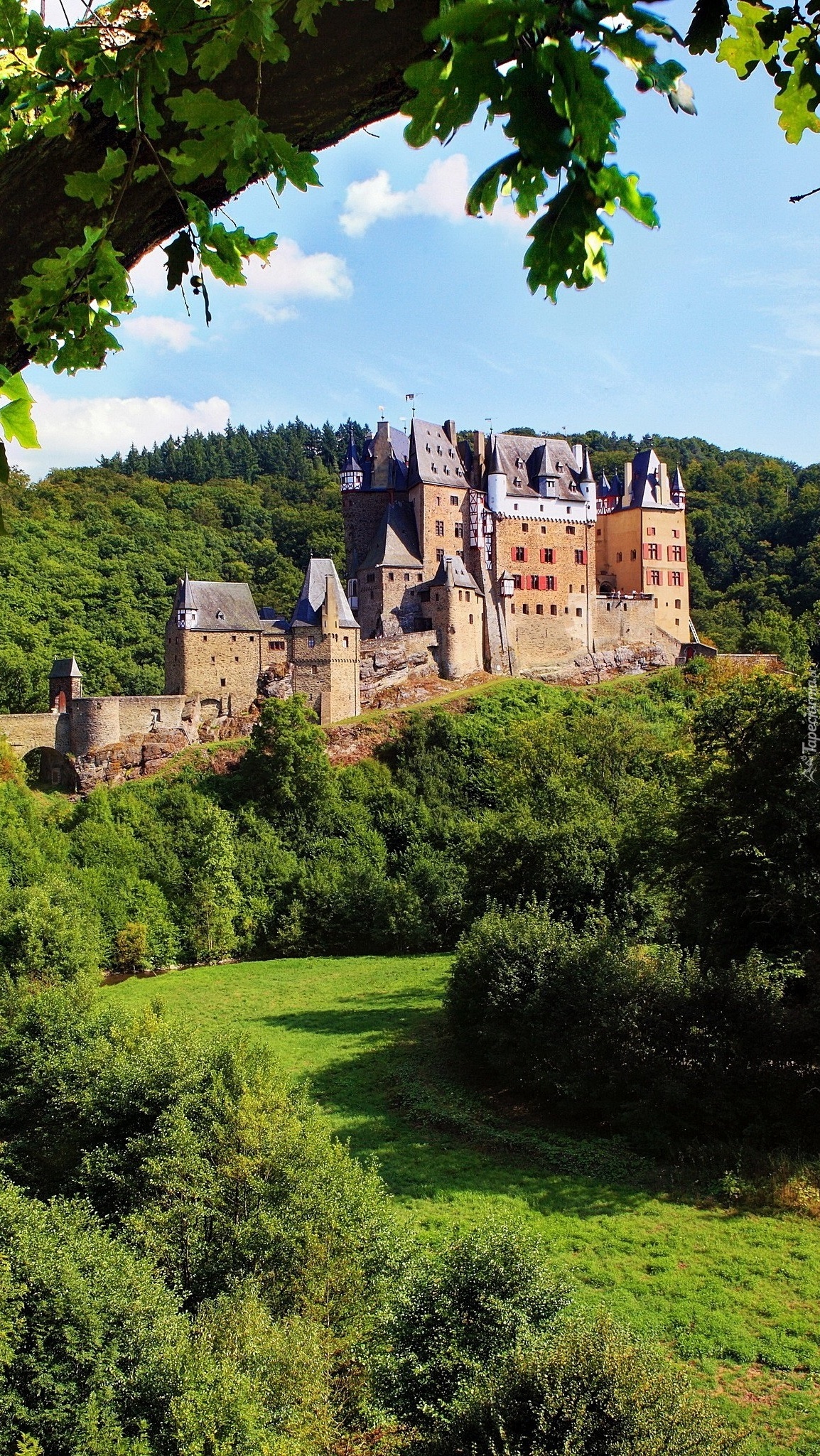 Zamek Eltz