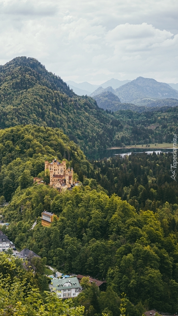Zamek Hohenschwangau pośród lasu