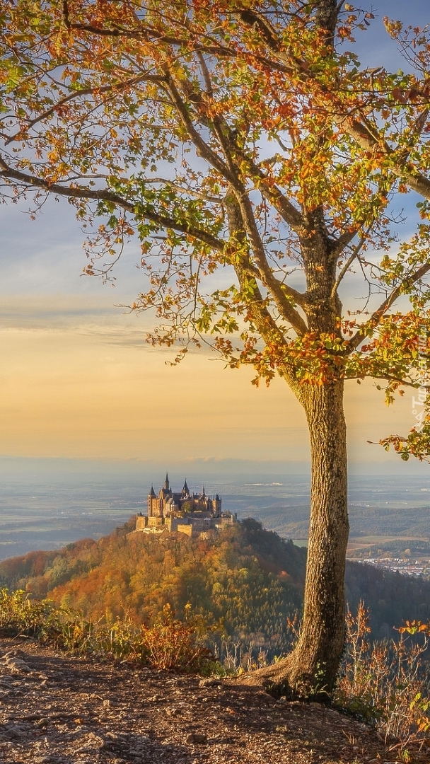 Zamek Hohenzollern na wzgórzu jesienią