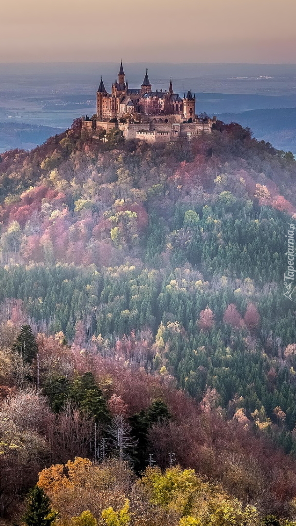 Zamek Hohenzollern na zalesionej górze