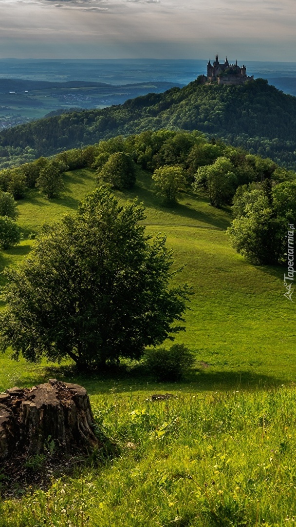 Zamek Hohenzollern na zalesionej górze