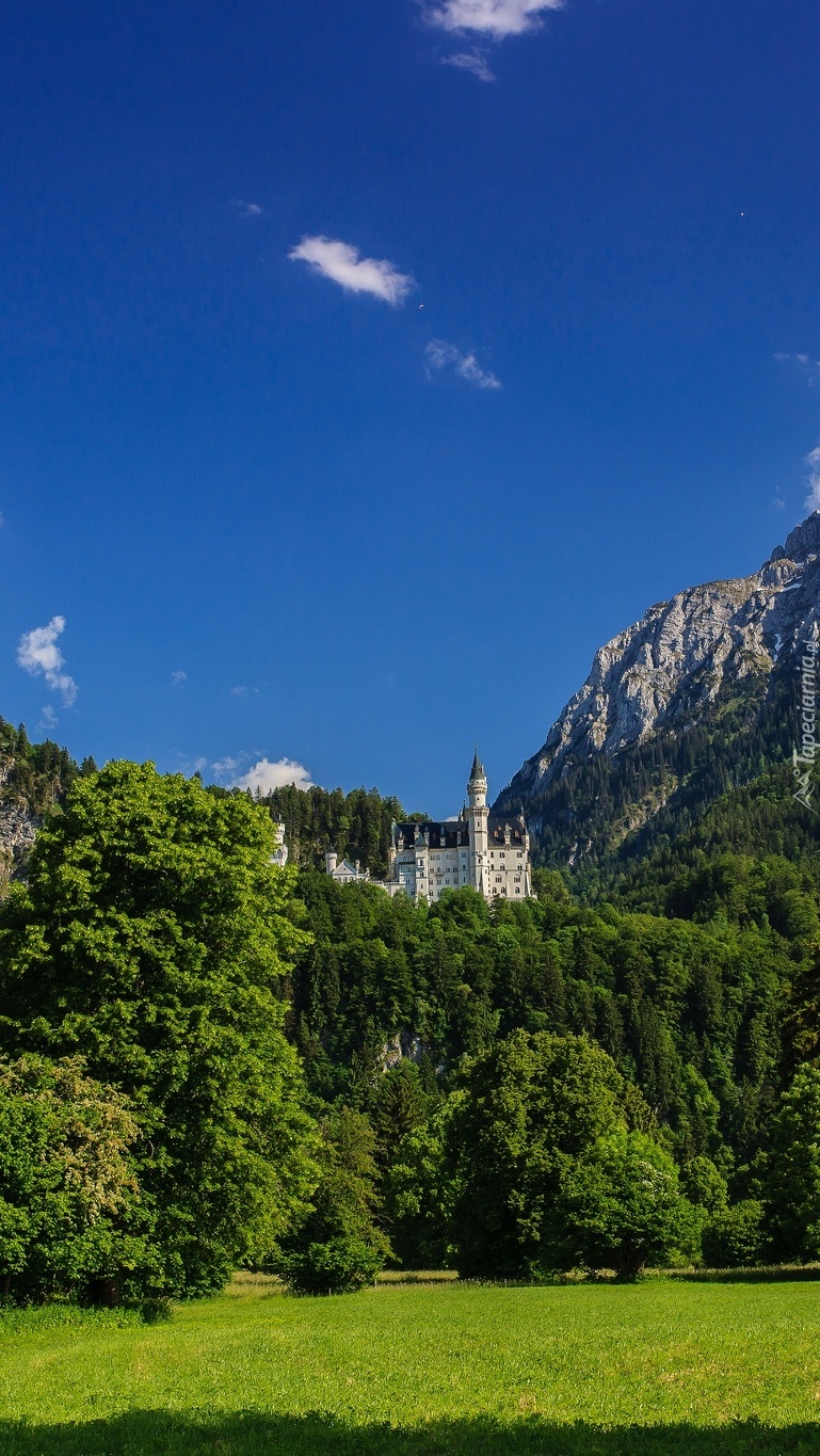 Zamek Neuschwanstein w Bawarii