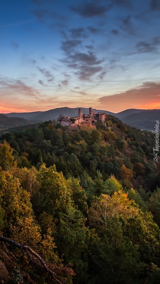 Zamek Trifels na wzgórzu