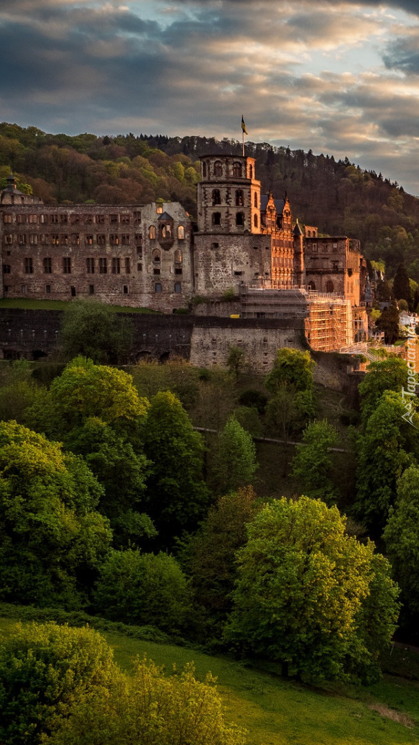 Zamek w Heidelbergu