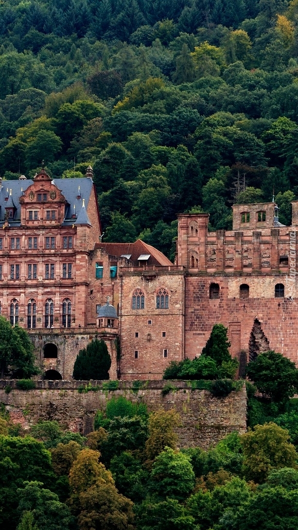 Zamek w Heidelbergu na tle drzew
