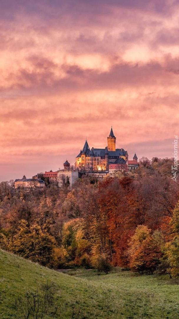 Zamek Wernigerode na wzgórzu