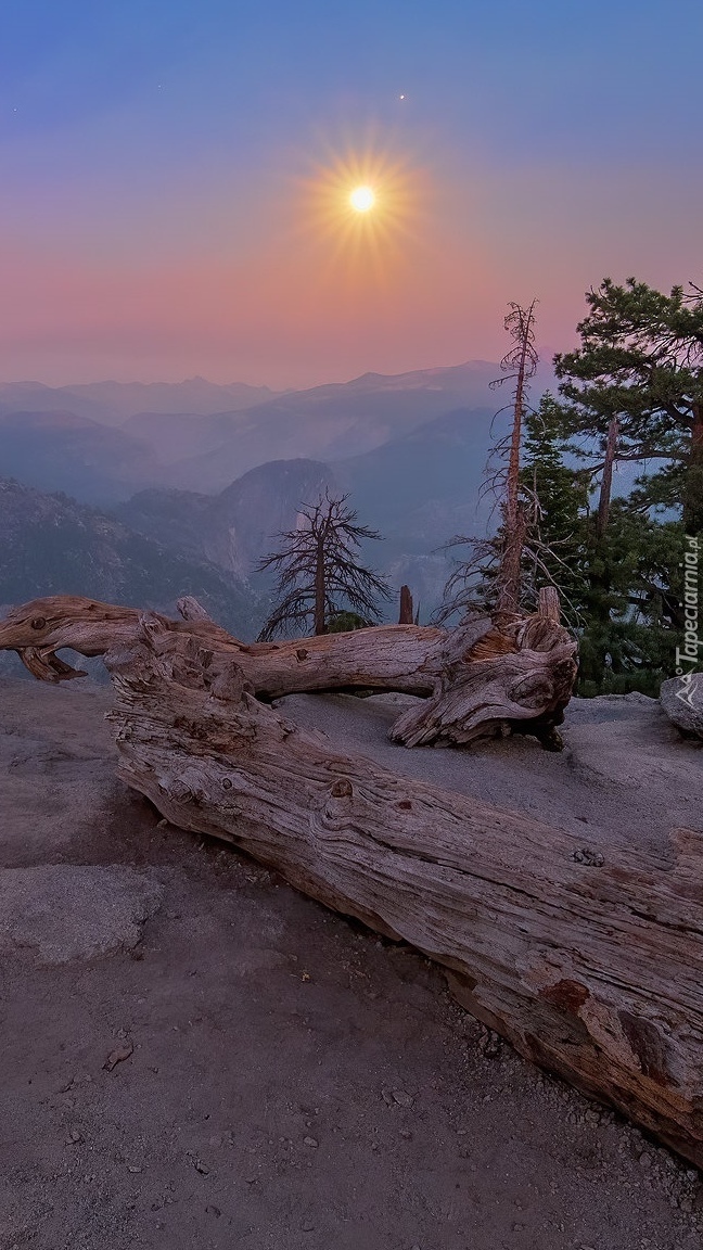 Zamglony Park Narodowy Yosemite