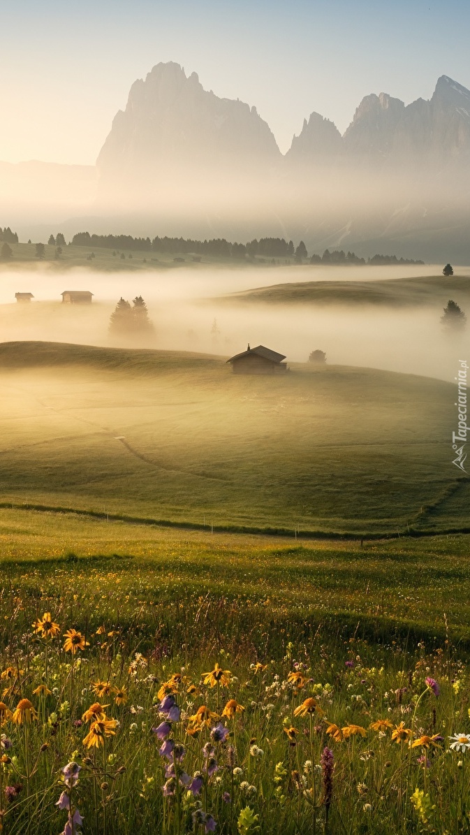 Zamglony płaskowyż Seiser Alm
