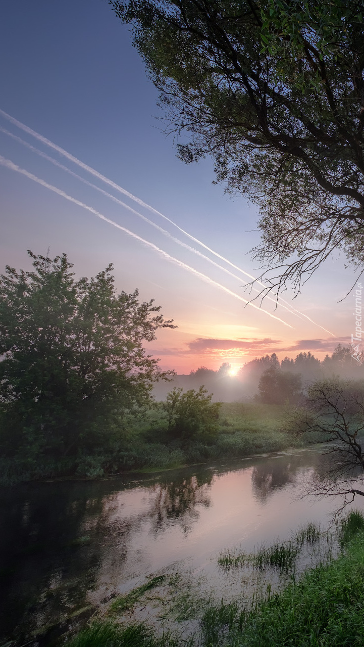 Zamglony poranek nad rzeką