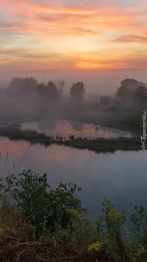 Zamglony wschód słońca nad rzeką