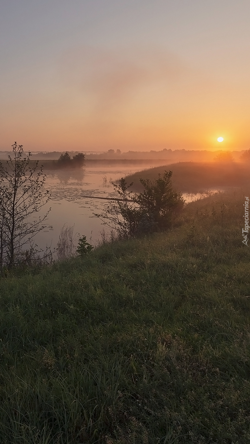 Zamglony zachód słońca nad rzeką