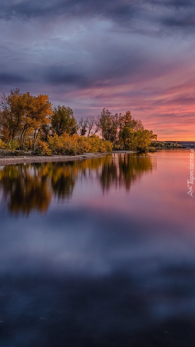 Zaróżowione niebo nad jeziorem Lake Chatfield