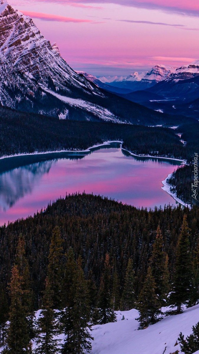 Zaróżowione niebo nad jeziorem Peyto Lake w Parku Narodowym Banff