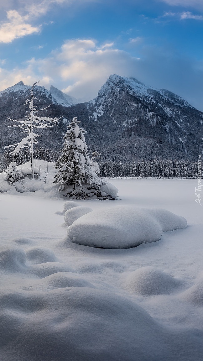 Zaśnieżone jezioro Hintersee w Alpach