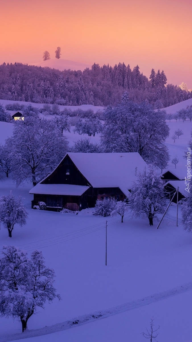 Zasypane śniegiem domy i drzewa
