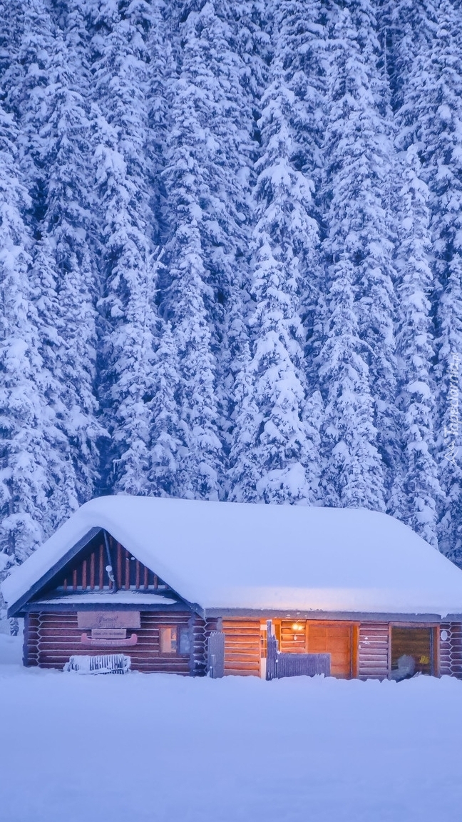 Zasypany śniegiem dom pod świerkami