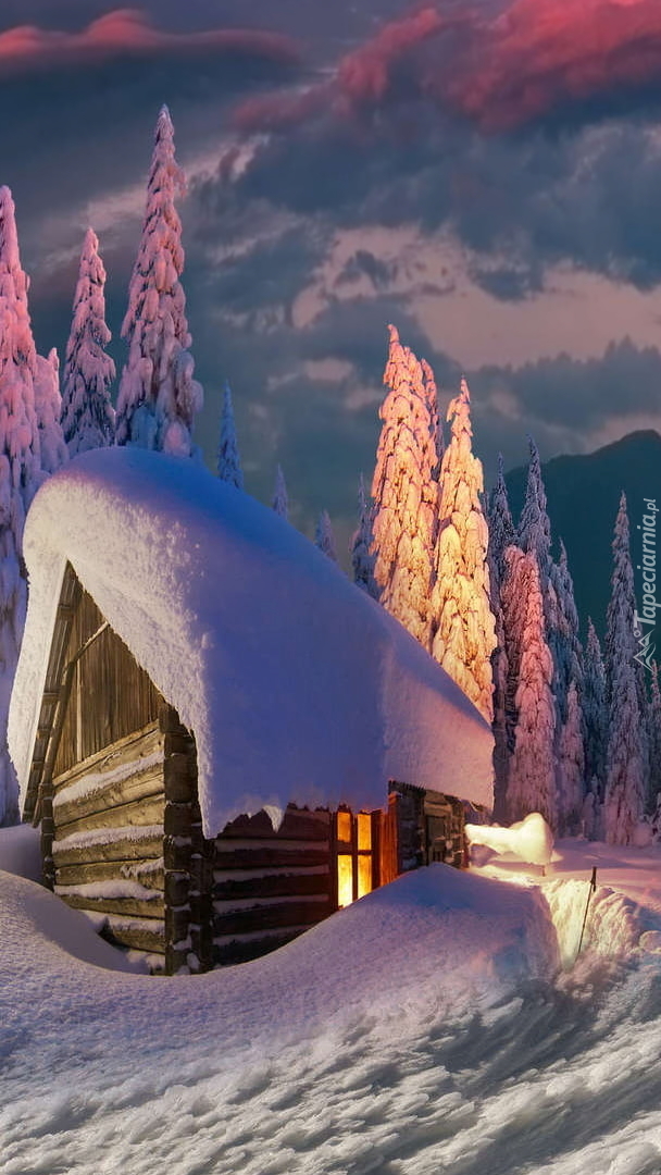 Zasypany śniegiem dom pośród drzew