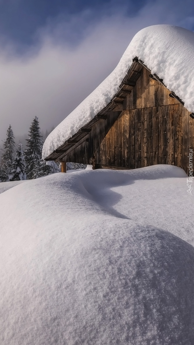 Zasypany śniegiem drewniany dom w zaspach