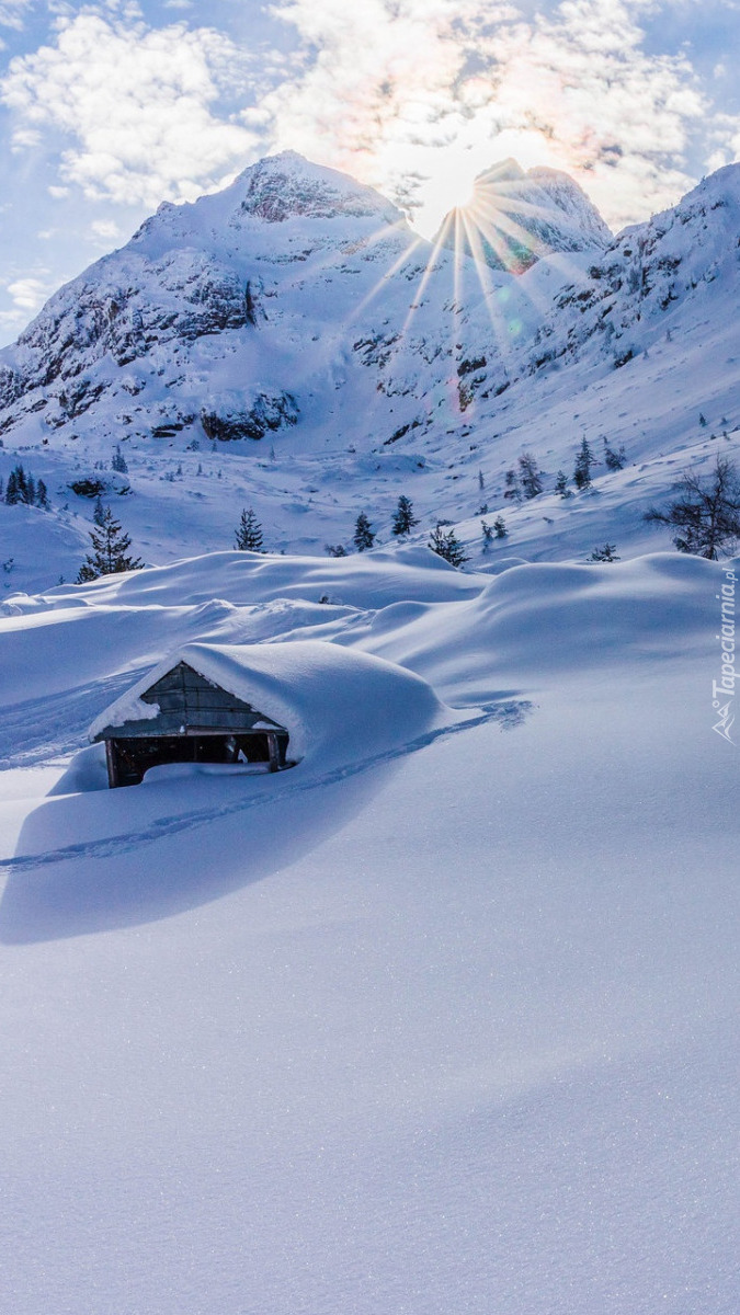 Zasypany śniegiem drewniany domek na górskiej polanie
