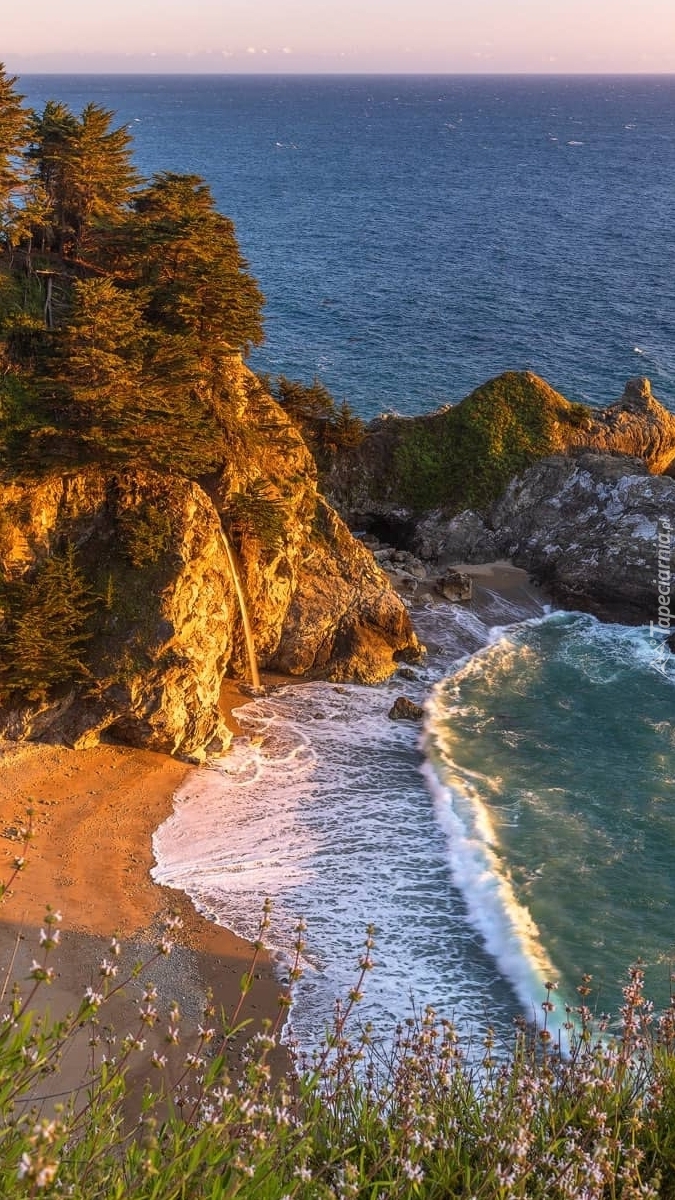 Zatoka i plaża na wybrzeżu Big Sur