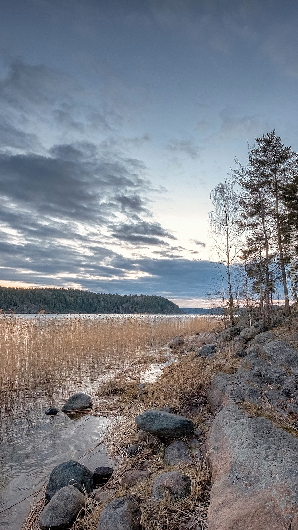 Zatoka Kiryavalahti