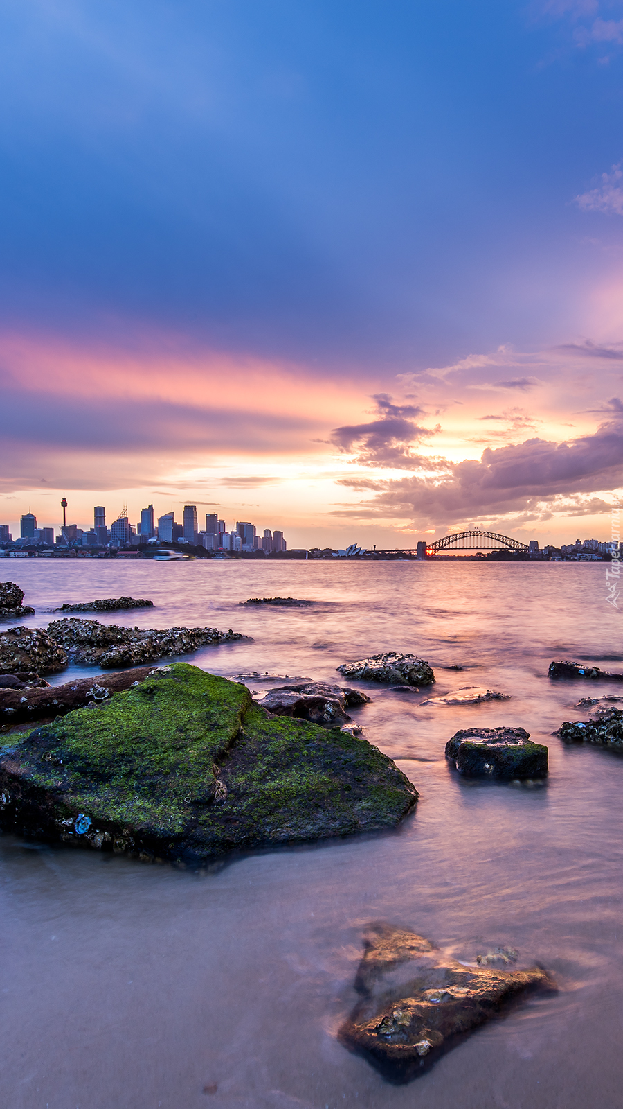 Zatoka Sydney Harbour w Australii