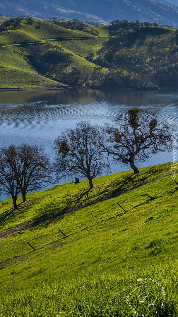 Zbiornik Del Valle Lake