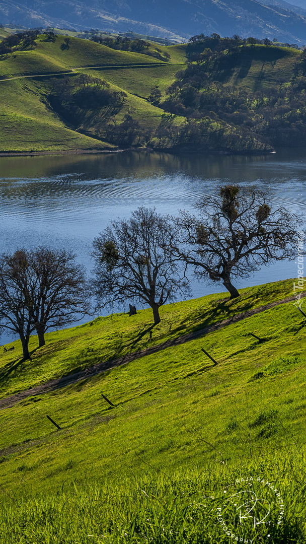 Zbiornik Del Valle Lake