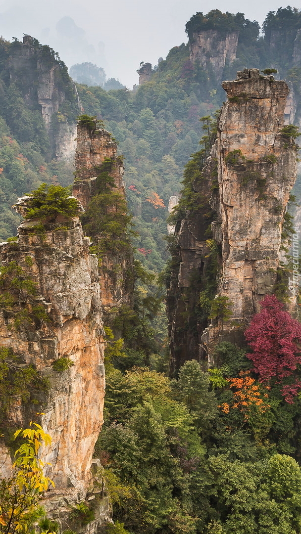 Zhangjiajie National Forest Park w Chinach