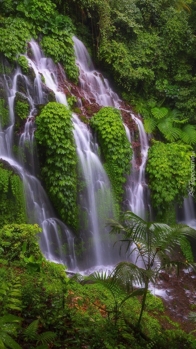 Zielona roślinność przy wodospadzie Banyu Wana Amertha Falls