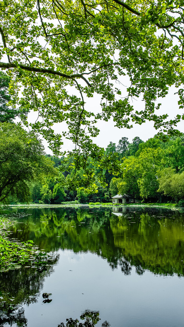 Zielone drzewa i pawilon nad rzeką