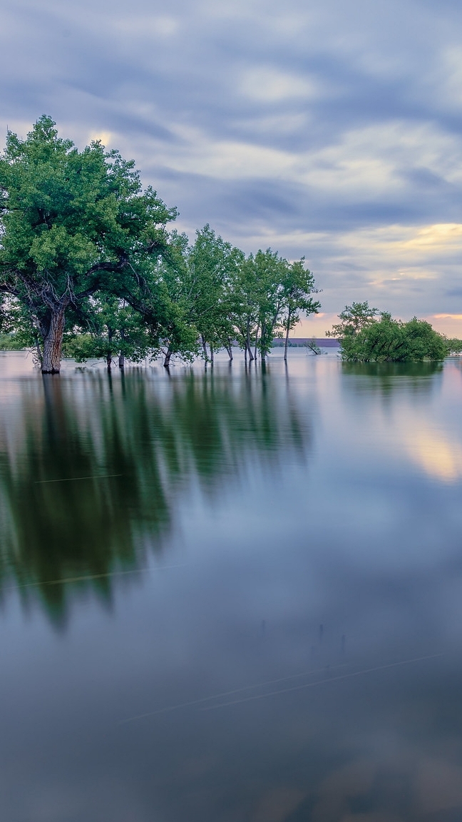 Zielone drzewa na jeziorze Chatfield Lake