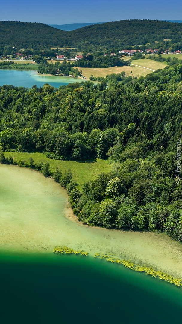 Zielone drzewa nad jeziorem Lac de Narlay