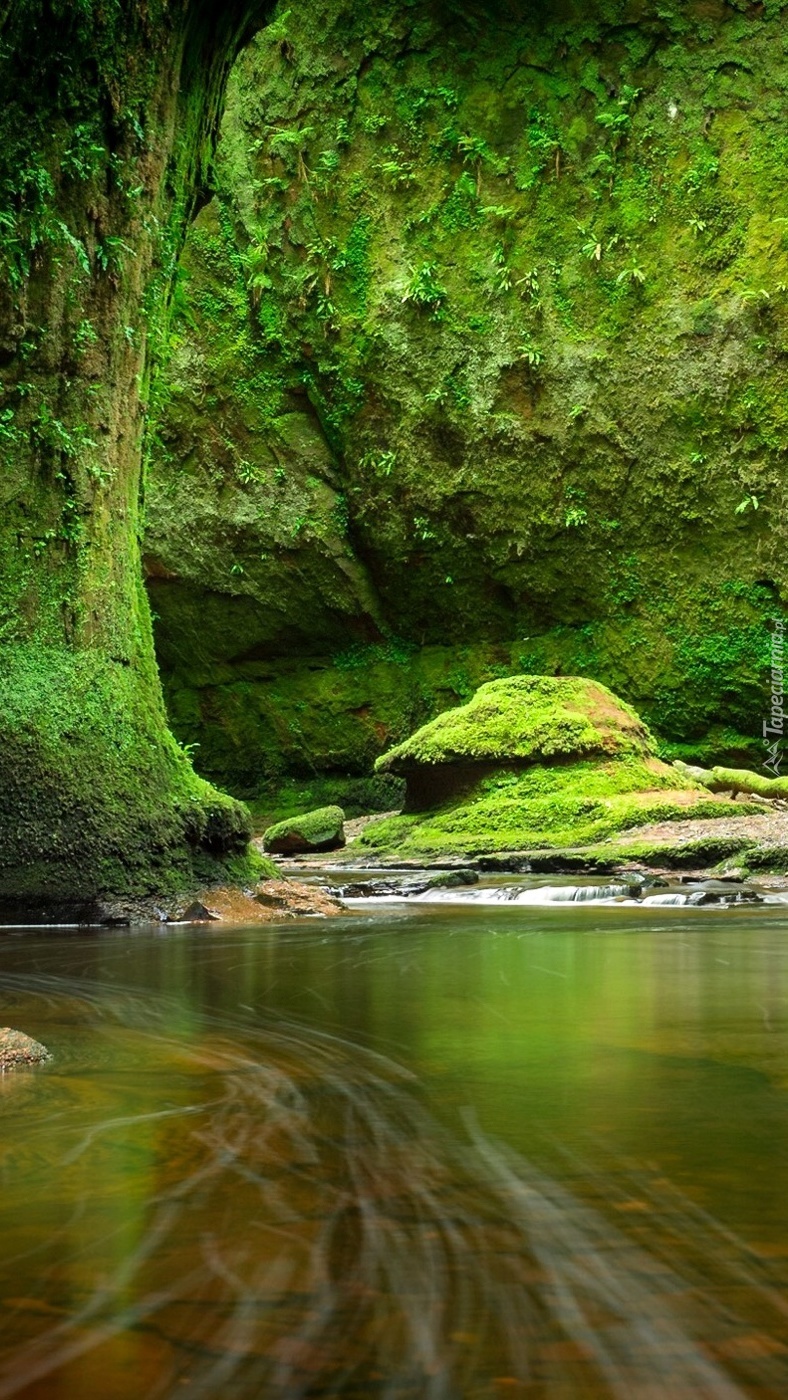 Zielone skały nad rzeką