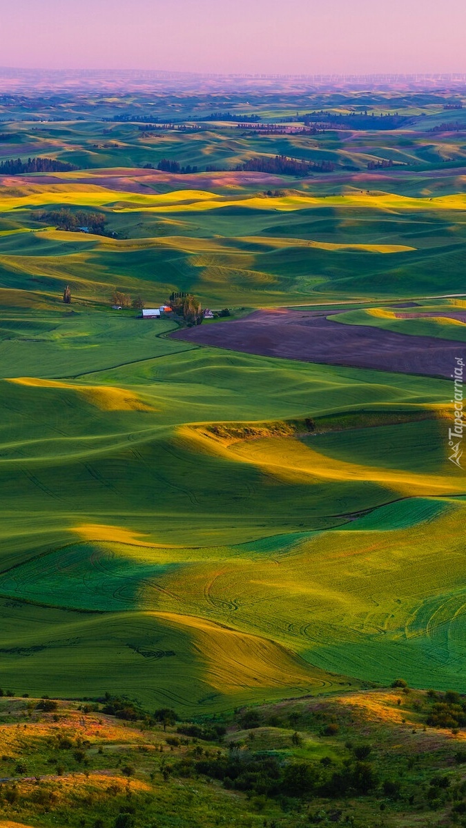 Zielone wzgórza Palouse