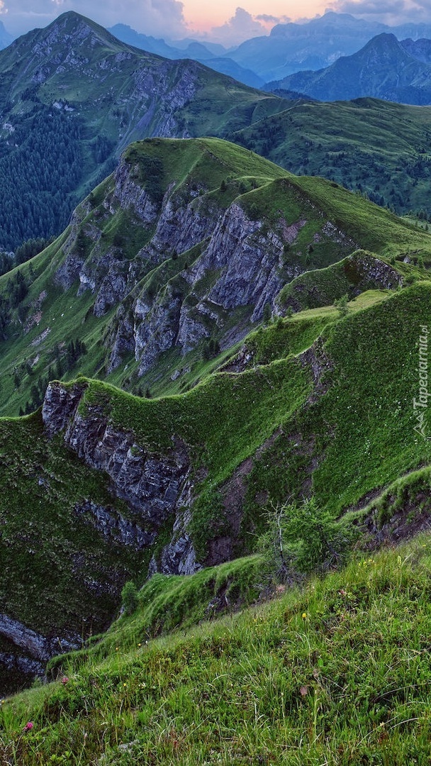 Zielone zbocza Dolomitów
