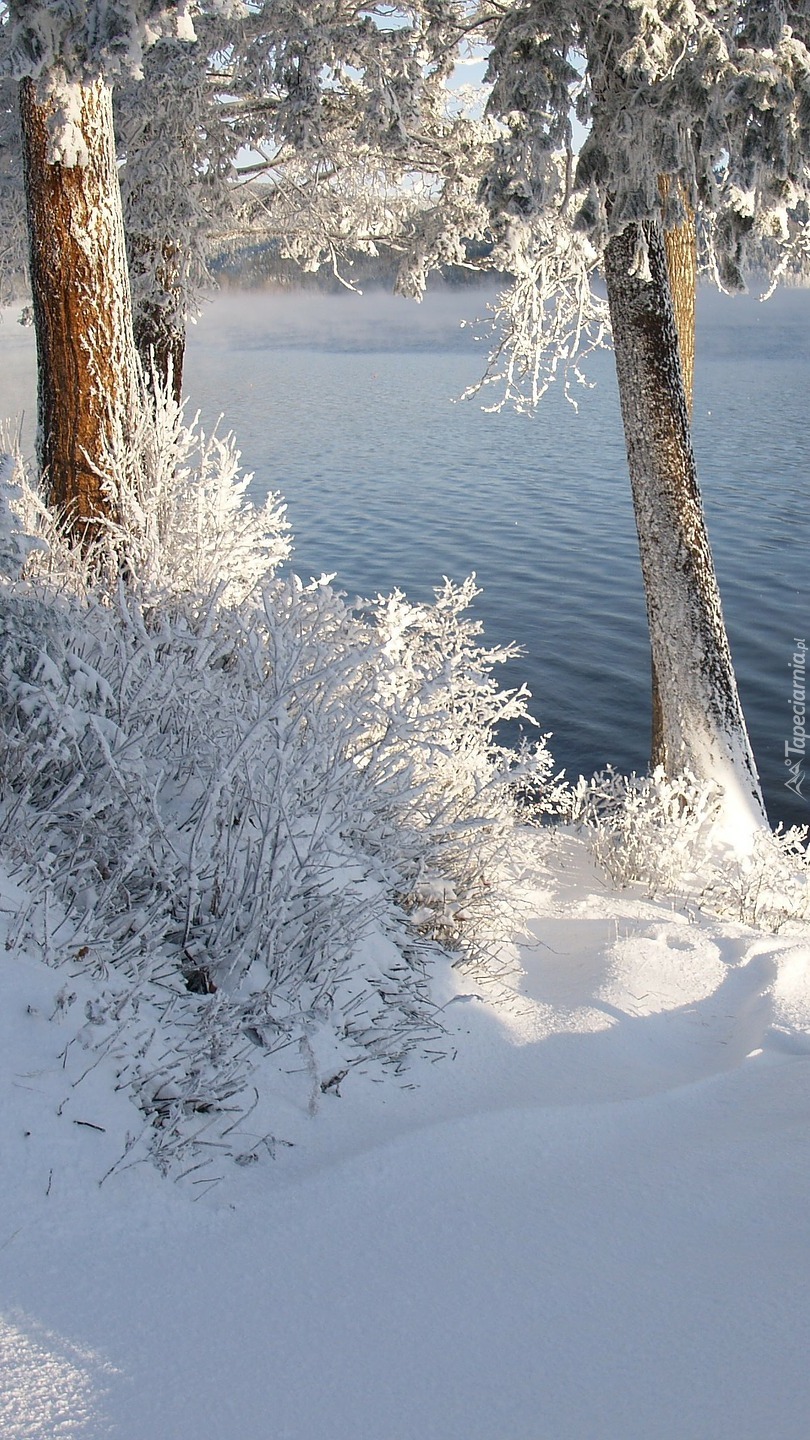 Zima nad jeziorem Canim Lake