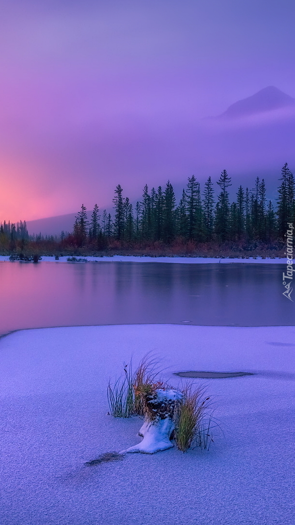 Zima nad jeziorem Vermilion Lake