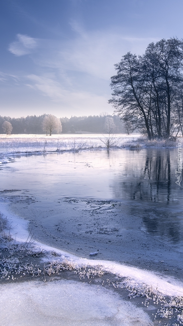 Zima nad rzeką