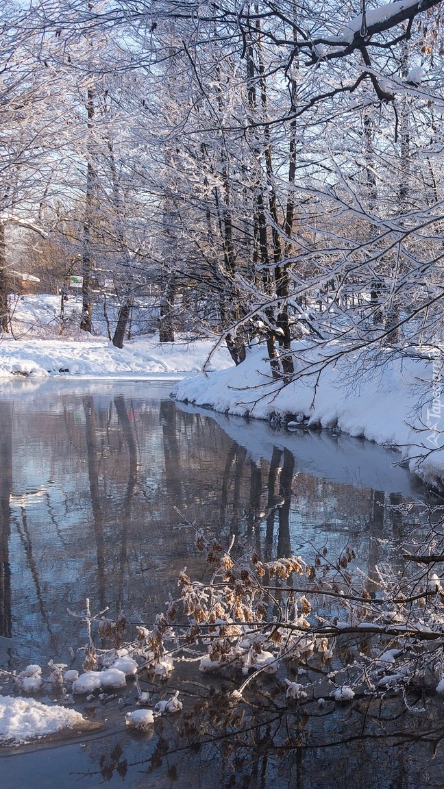 Zima nad rzeką