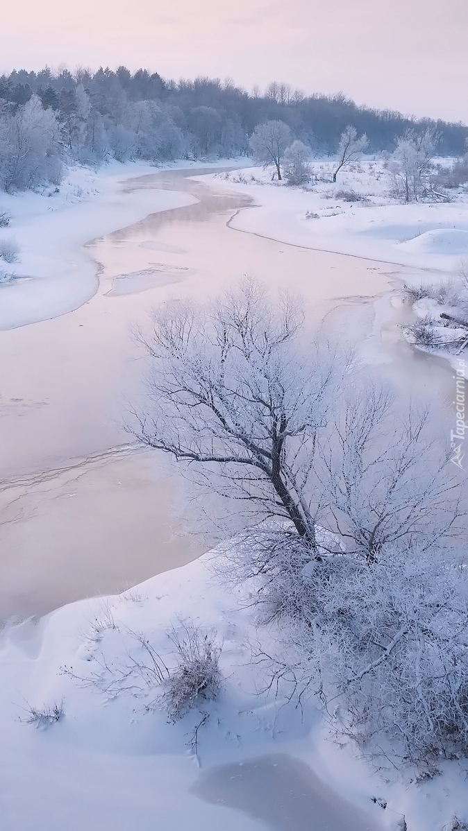 Zima nad rzeką