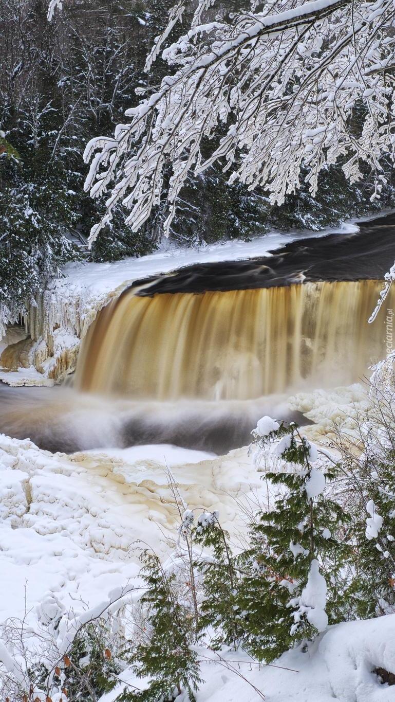 Zima nad wodospadem Tahquamenon Falls