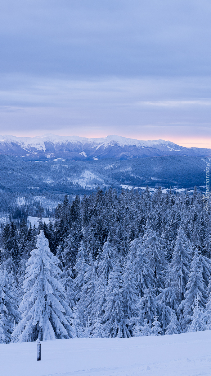 Zima w Beskidach