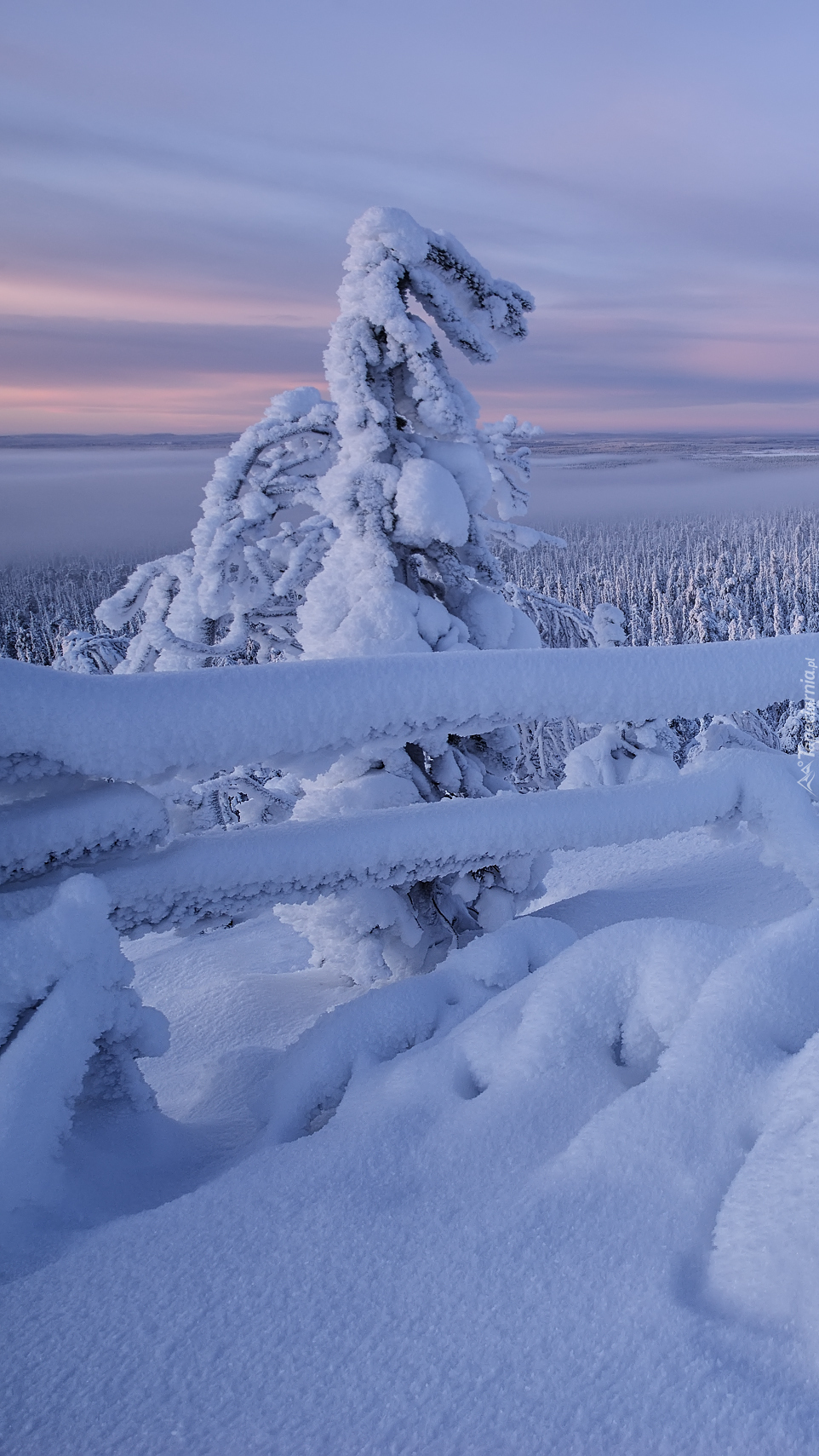 Zima w rezerwacie Valtavaara