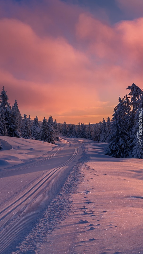 Zimowa droga o wschodzie słońca
