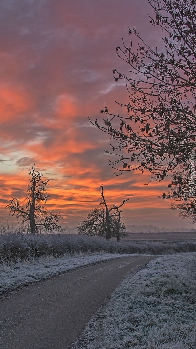 Zimowa droga o zachodzie słońca