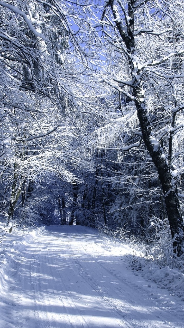 Zimowa droga przez las