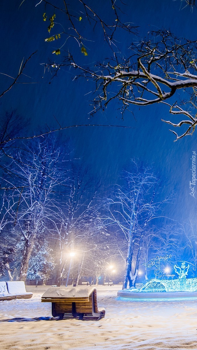 Zimowa noc w oświetlonym parku