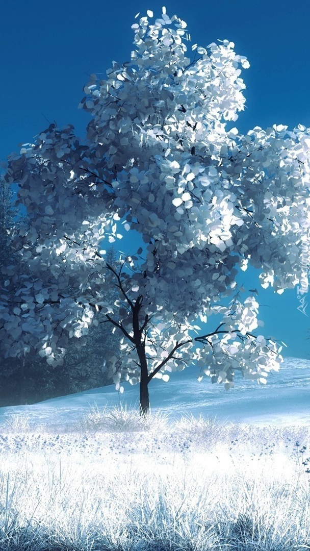 Zimowe drzewo w sztuce