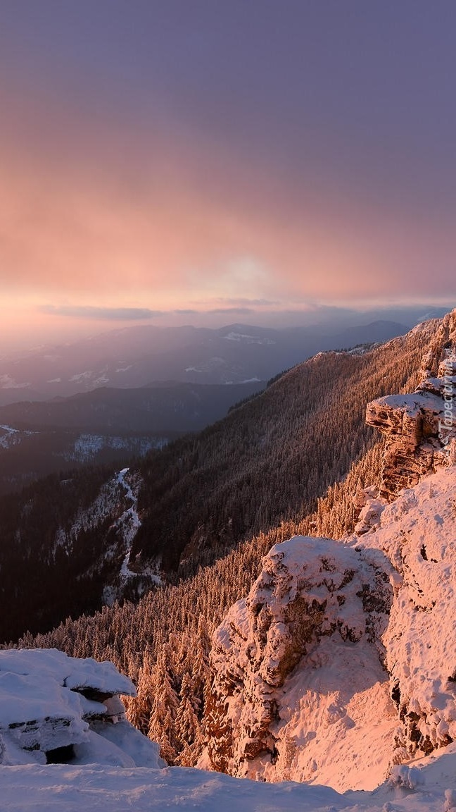 Zimowy i mglisty wschód słońca nad górskimi lasami